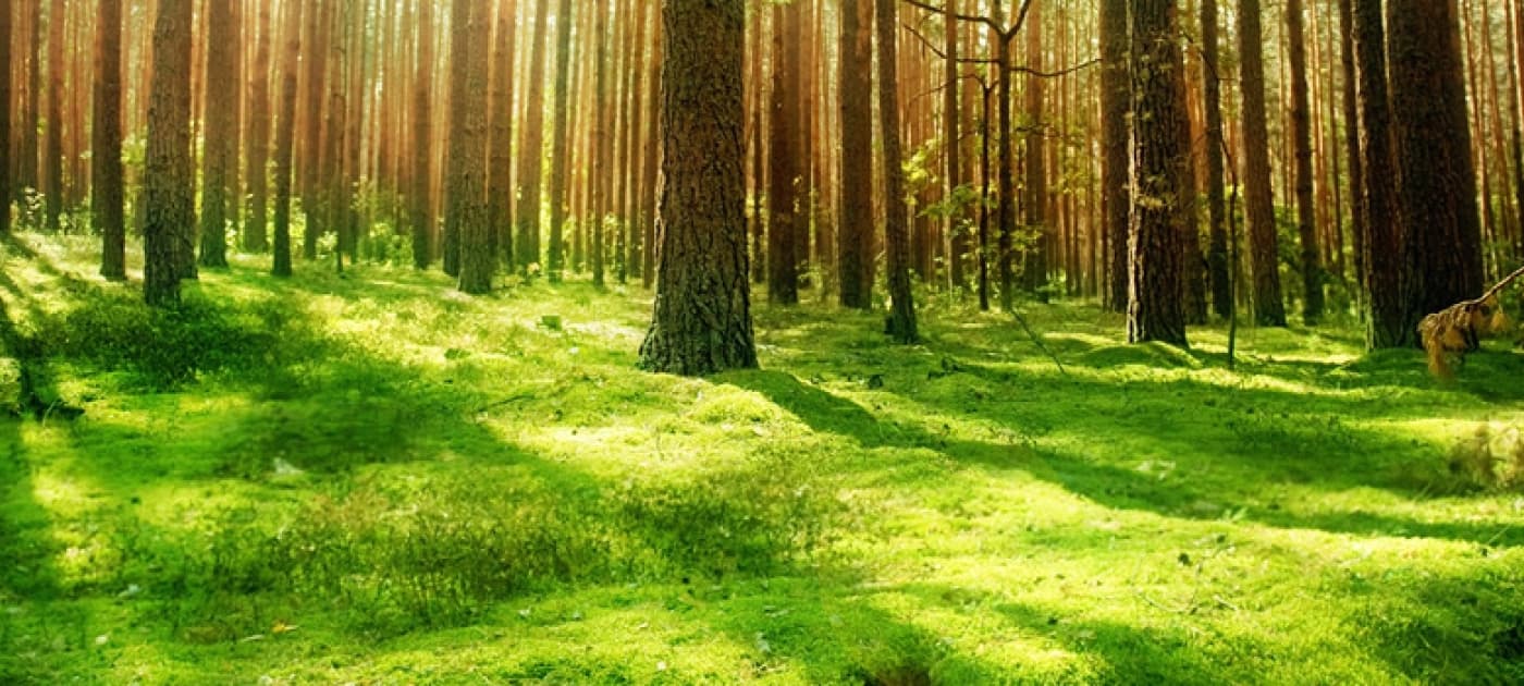 “Call to Action- Acting Together for our Future Sustainability” The 12th Asia-Pacific Roundtable for Sustainable Consumption and Production